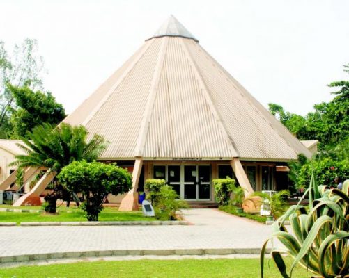 The Extraordinary Sights in the Lekki Conservation Centre